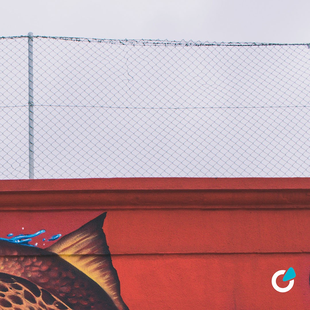 Professionelle Fahrzeugfolierung Teil- oder Vollfolierung von SCEND Tuning Inspiration von Street Arts Graffiti Fisch mit Flügeln